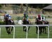  Carrera: P.Marcos Carmena Monta: Sr.Pineda G. Caballo: Gimme Love